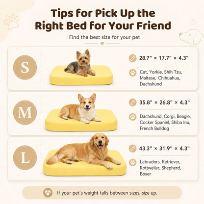 SpineGuard - Dog Mattress