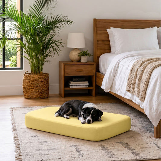 SpineGuard - Dog Mattress