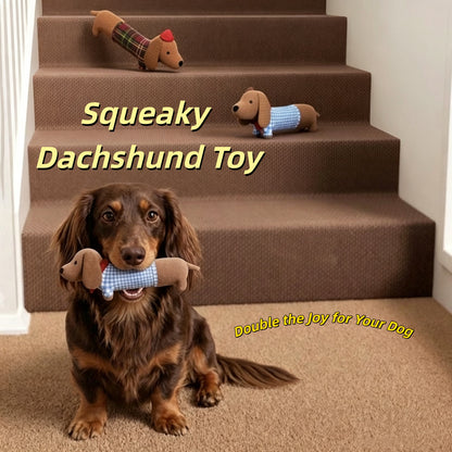 Dachshund Companion Squeaky Dog Toy